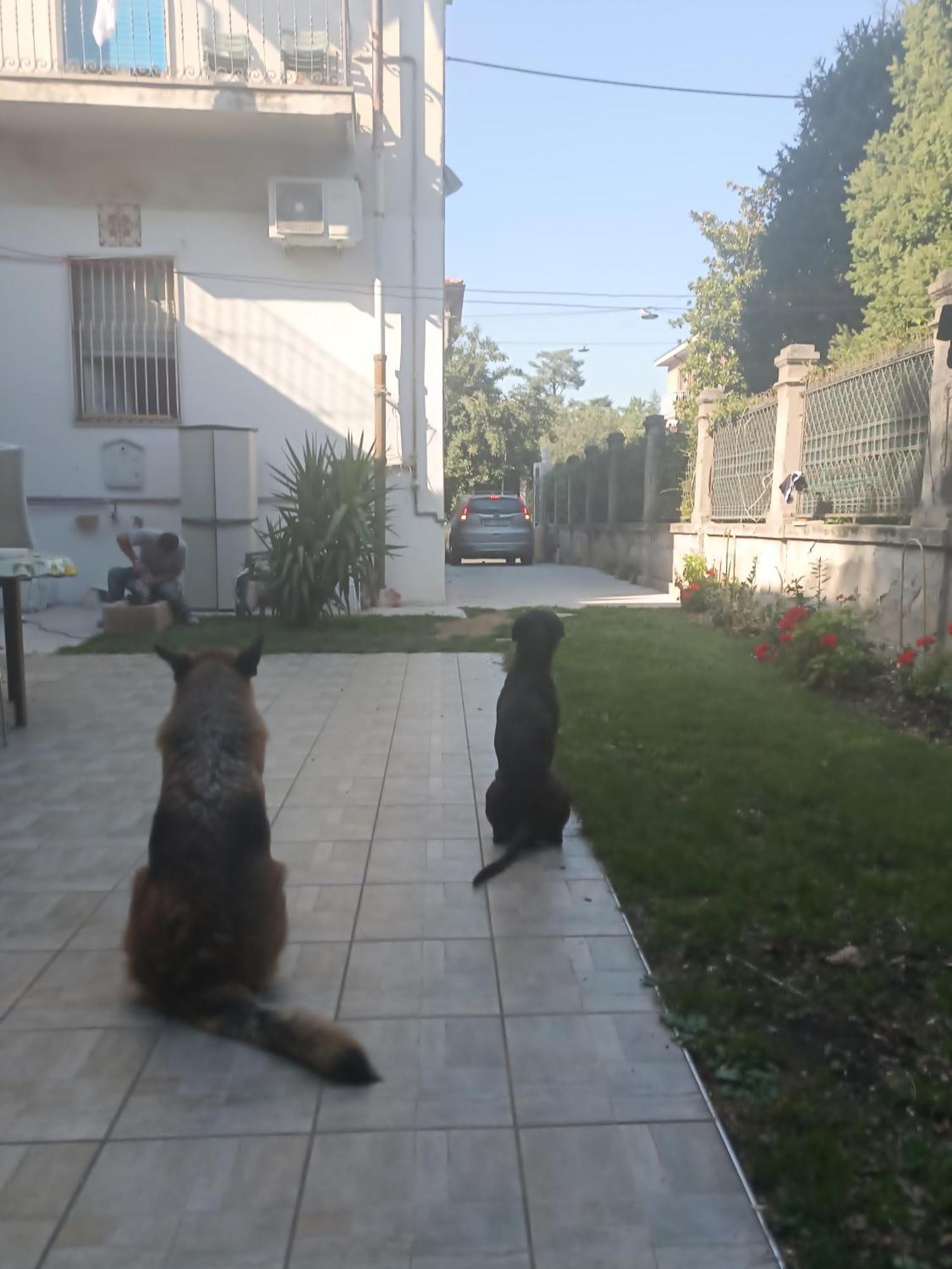 B&B Mavipagi Verona Kültér fotó
