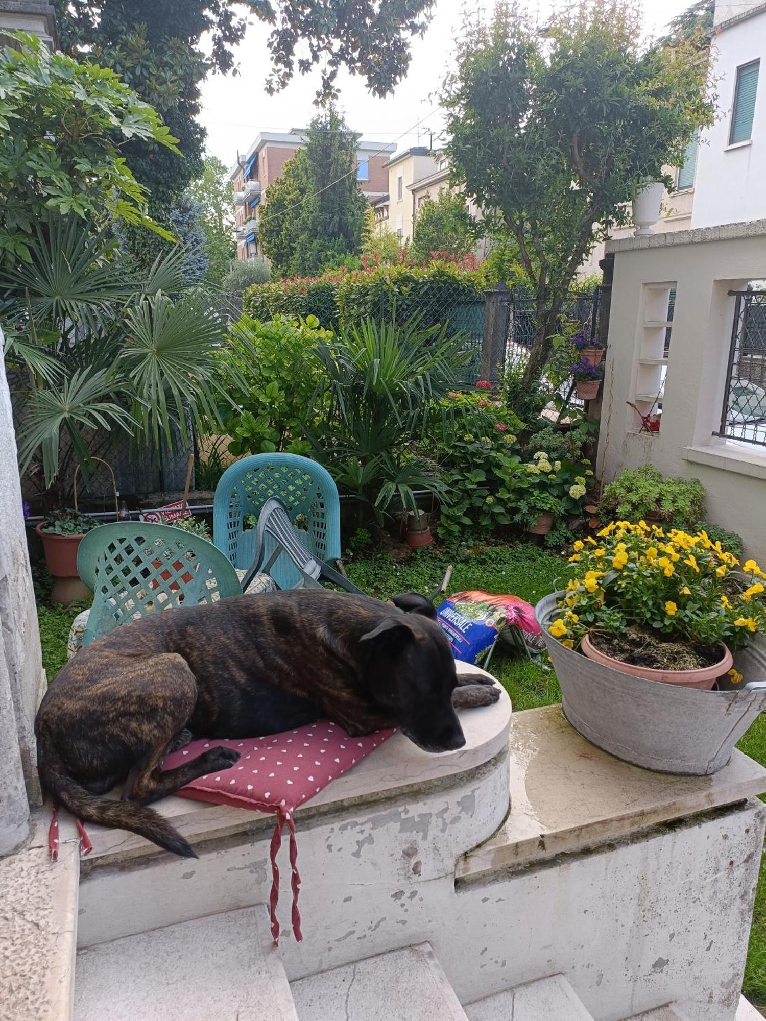 B&B Mavipagi Verona Kültér fotó